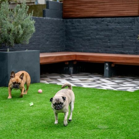 Bed and Breakfast Doghouse Margate Exterior foto